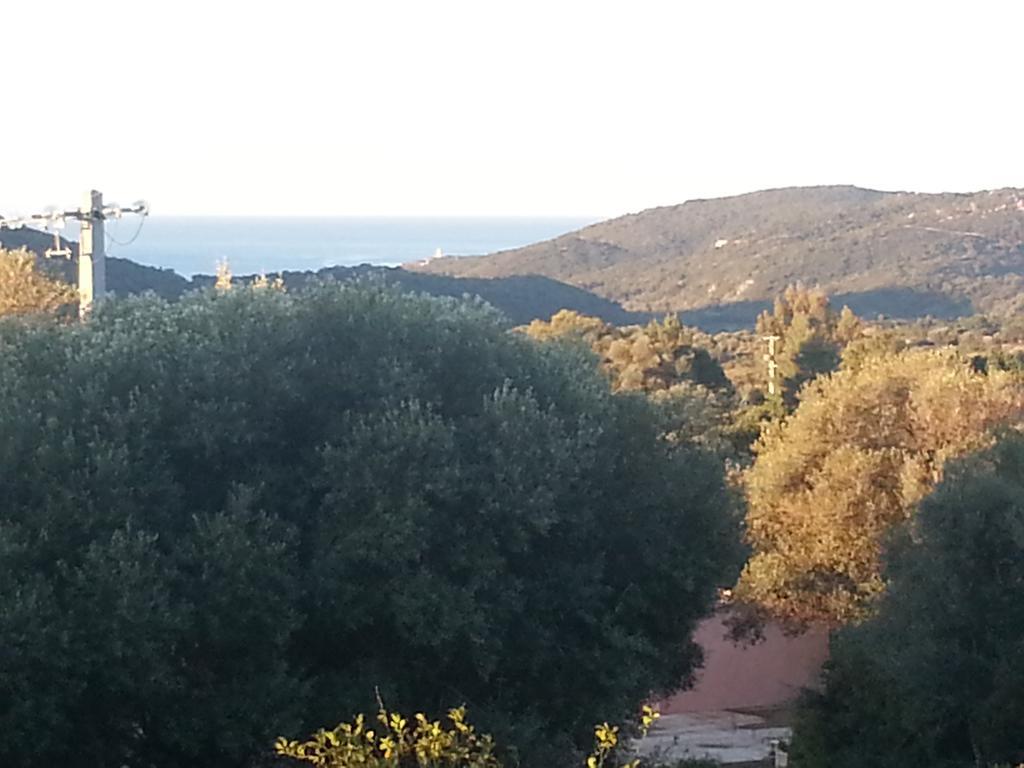 Gite Tomasini Monacia-d'Aullene Luaran gambar